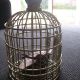 cage-oiseau-decorative