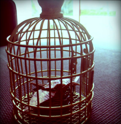 cage oiseau décorative