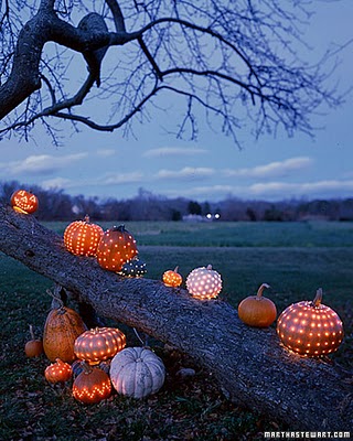 citrouilles Halloween