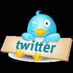 twitter-bird