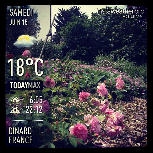 InstaWeather - instagram