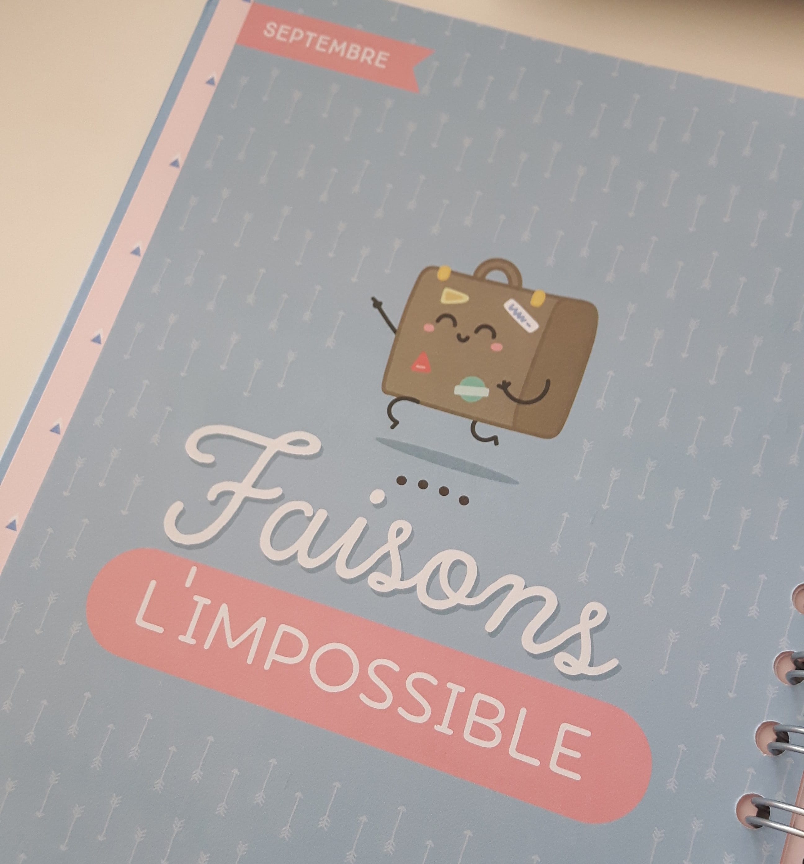 Faisaons l'impossible - mr wonderfull