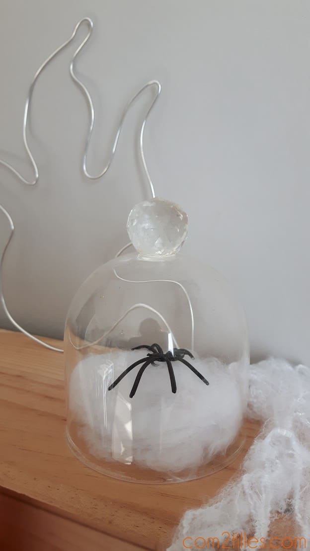 Déco Halloween - airaignée sous cloche