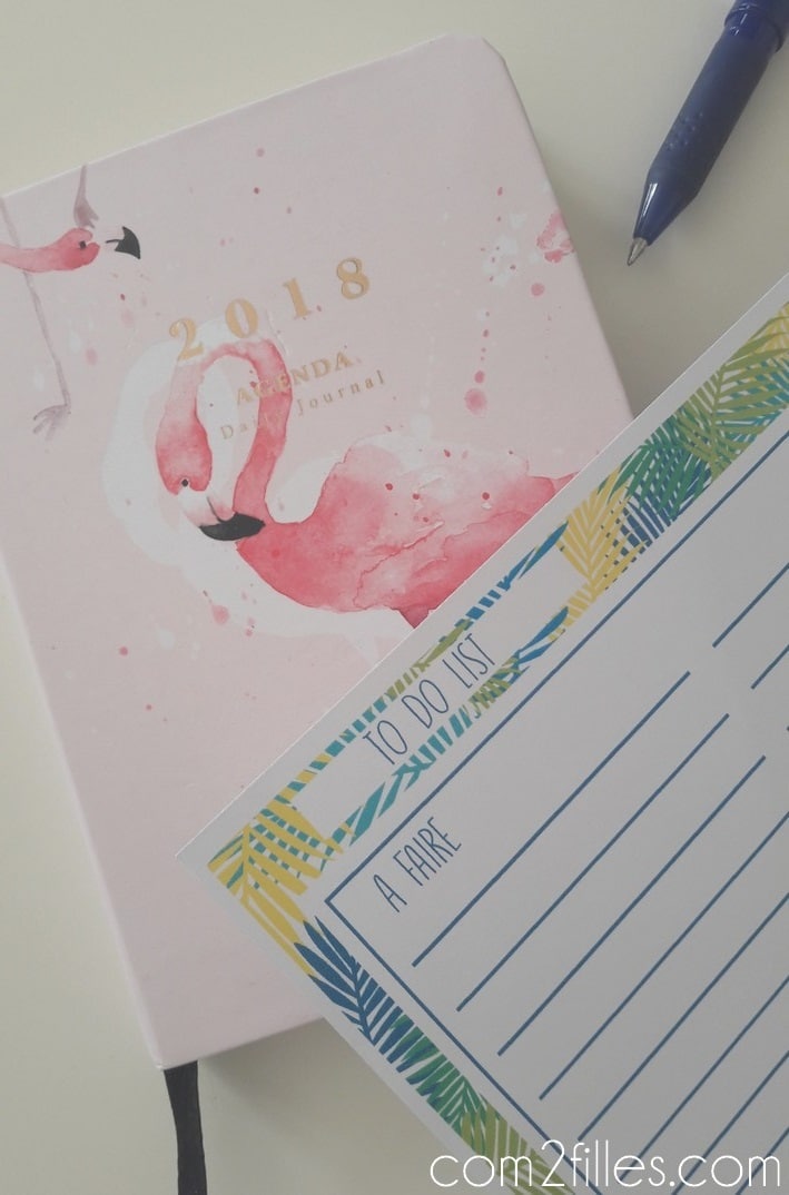 Agenda - to do - jungle - flamant rose