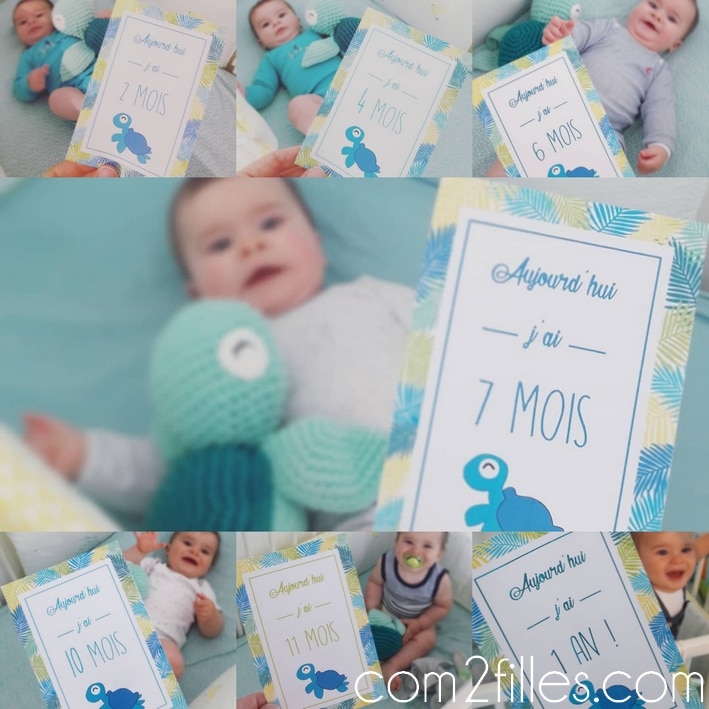 carte etapes bebe - mois par mois