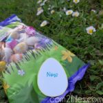 Œufs De Pâques Surprise - 25pcs Avec Lapins, Pour Chasse Aux Œufs, Cadeaux Enfants