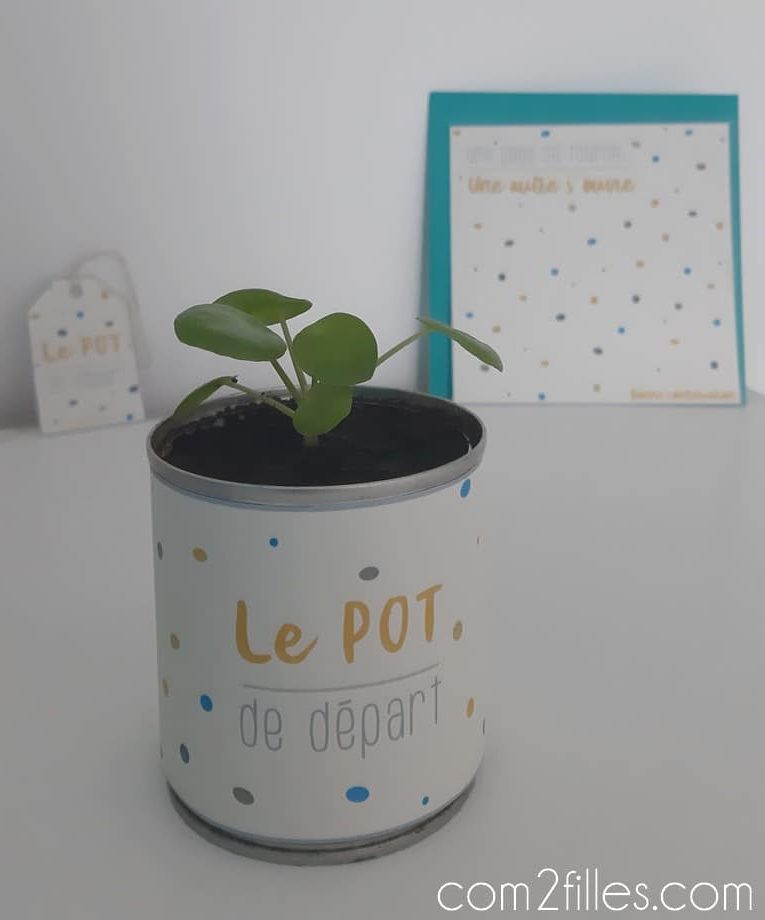 idee-cadeau-pot-de-depart-collegue